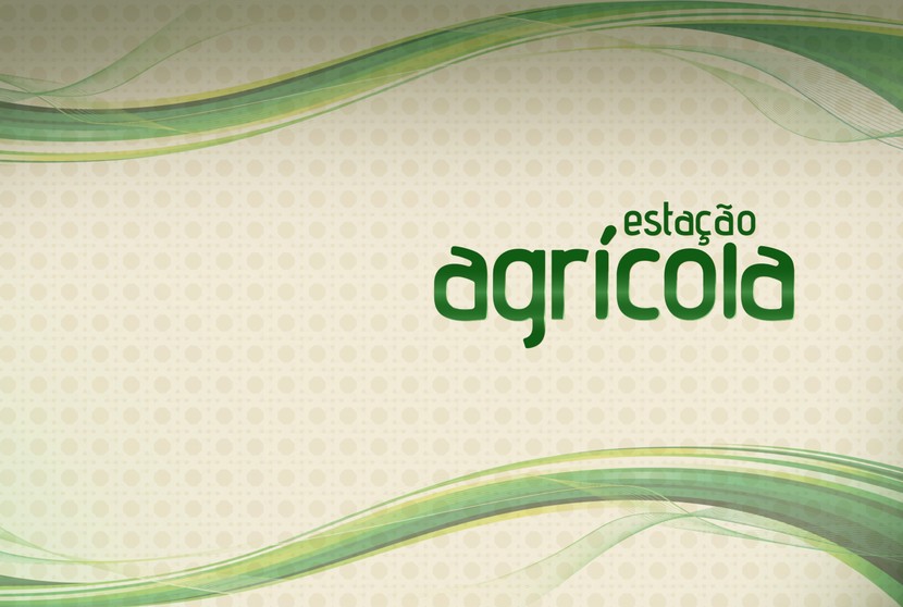 Projeto Mantas do Brasil Alerta Para Pesca Ilegal de Raia Protegida com Relevância para a Amazônia