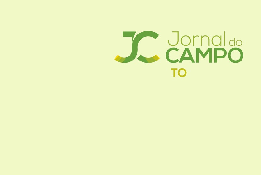 Cultivo de Soja em Tocantins Levanta Preocupações Ambientais com Implicações Nacionais