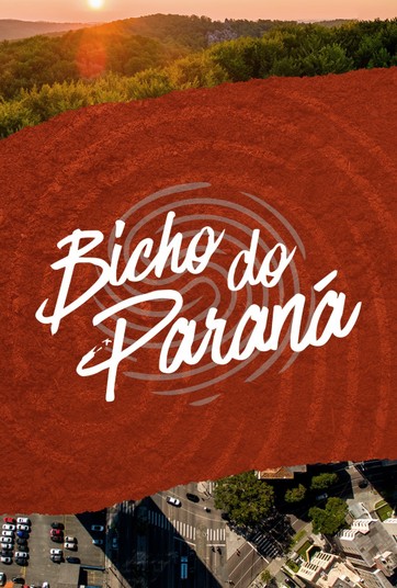 Bicho do Paraná